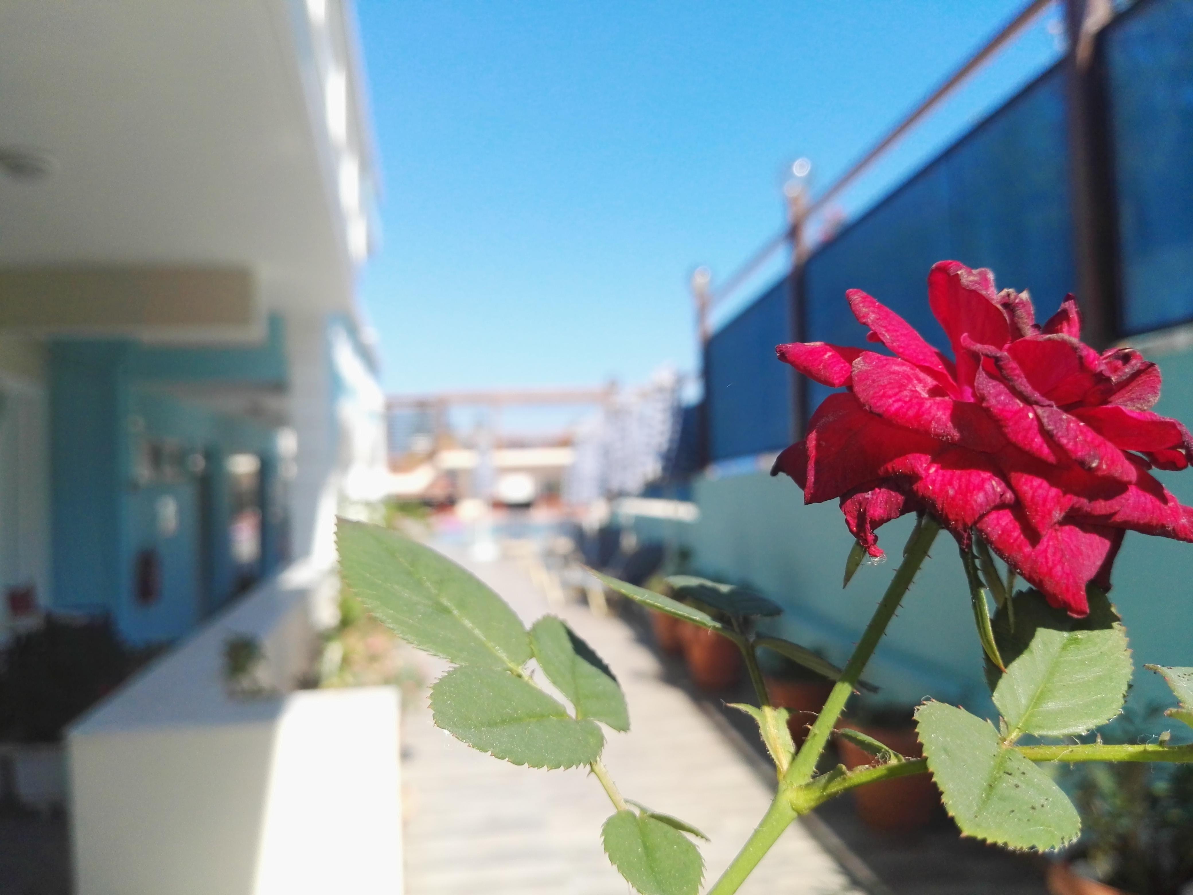 Epis Hotel Agia Marina  Bagian luar foto